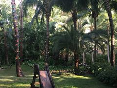 -三亚湾海居铂尔曼度假酒店