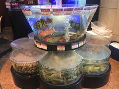 -陶陶居海鲜酒家(新马路店)
