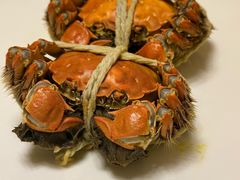 -新光酒家·河豚·海鲜·蟹料理(浦东店)