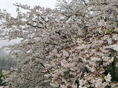 -杭州少年儿童公园
