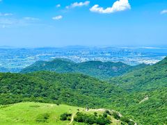 -大姆山草场
