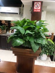 -YESIDO椰岛造型烫发染发