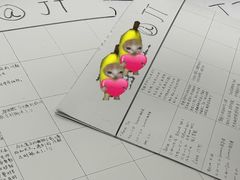 -JT PREP国际学科课程·IB·AP·Alevel(陆家嘴校区)