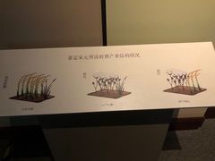 -嘉定博物馆