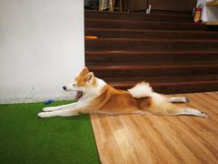 -YCHL Studios健身工作室(市二宫店)
