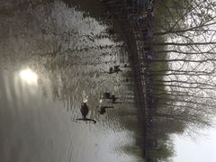 iphone_upload_pic-溱湖国家湿地公园