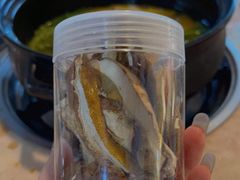 -蘑统田下·野生菌火锅