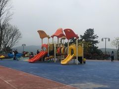 -铁山坪森林公园