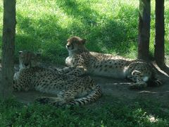 -北京野生动物园