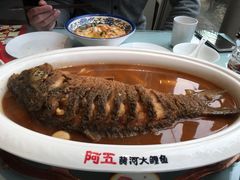 -阿五黄河大鲤鱼(英协路店)