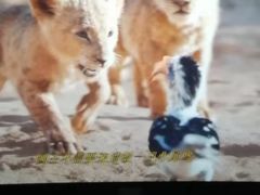 -乐天影城(威高广场店)