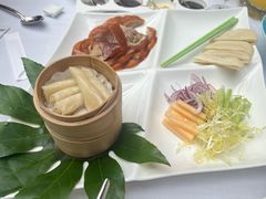 -梧桐