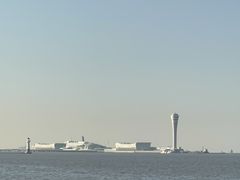 -上海滨江森林公园
