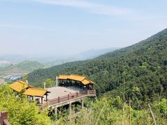 -铁山坪森林公园
