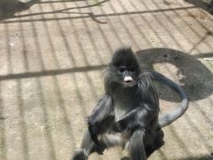 -昆明动物园