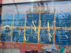 -童程童美·信息学竞赛·机器人编程·少儿编程(五棵松万达校区)