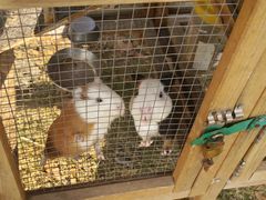 -HERRE·FARM 赫尔露营农场·团建聚会包场