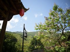 -杨家堂村