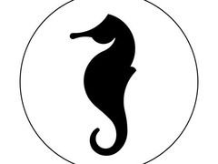 -海马体照相馆(大连罗斯福广场店)