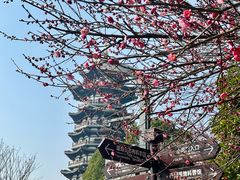 -洋湖国家湿地公园