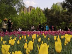 -长春公园(普阳街道)