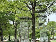 -上海鲜花港