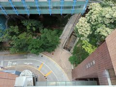 -香港大学