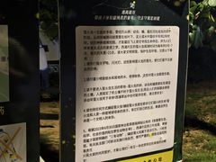 -西涌国际滨海旅游区