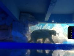 -蓬莱欧乐堡梦幻世界