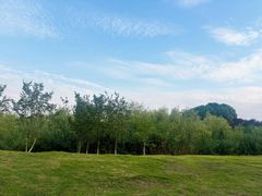-两河城市森林公园