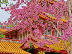 -天竺岩寺