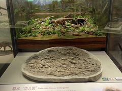 -辽宁古生物博物馆