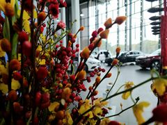 -宁波之星奔驰4S店(海曙店)