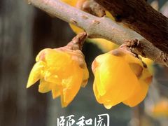 -颐和园