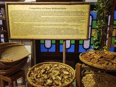 -陈李济中药博物馆