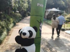 -杭州少年儿童公园