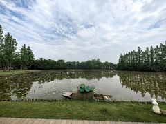 -上海长兴岛郊野公园