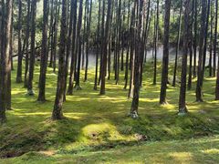 -玉苍山国家森林公园