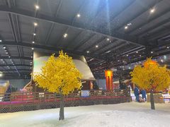 -宁波冰雪大世界(北仑区)