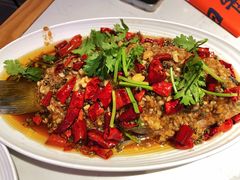 -杨氏青龙虾·羊蝎子(托乐嘉店)