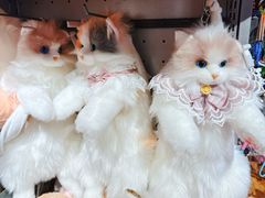 -番茄口袋(上海普陀区环球港店)