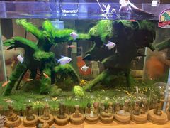 -Rabbit Cafe私房西餐甜点咖啡(栖霞路店)