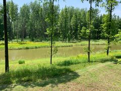 -黄海国家森林公园