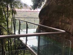 -川西竹海景区