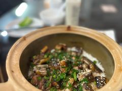 -红星光发煲仔饭(文海店)