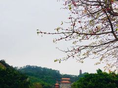 -南沙天后宫景区