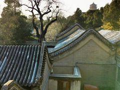 -颐和园