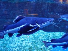 -成都浩海立方海洋公园