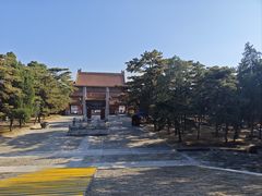 -清东陵