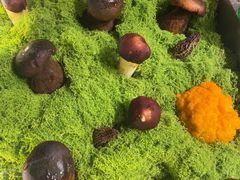 -菌自由丨野生菌火锅特色庭院餐厅(丽江古城店)
